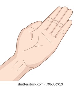 left palm, hand isolated on white background 