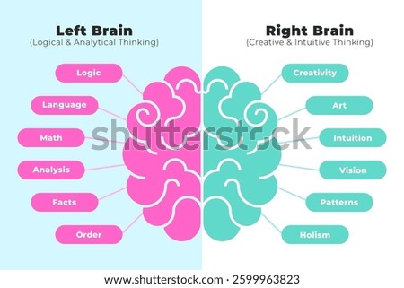 Left and Right Brain Comparison Infographic Highlighting Logical Versus Creative Cognitive Functions Vector Illustration