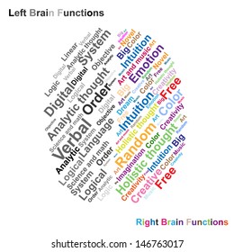Left and Right brain function illustration