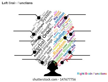 Left and Right brain function illustration