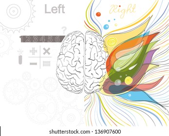 The left and the right brain functions