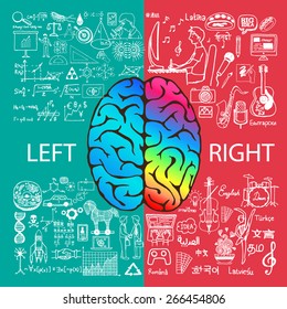 Left and right brain functions with doodles.