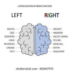 Left and right brain functions info. Lateralization of brain function vector infographics. 