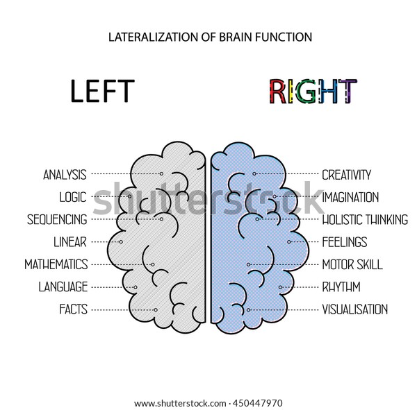 Left Right Brain Functions Info Lateralization Stock Vector (Royalty ...