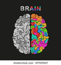 left and right brain hemisphere. Vector concept illustration.