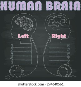 Left and right brain image was painted with chalk on a blackboard in vector format.