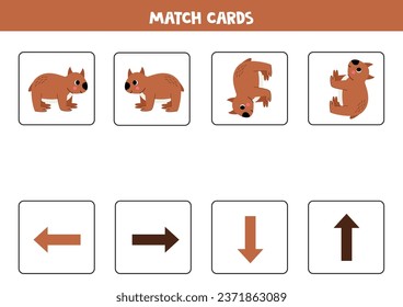 Left, right, up or down. Spatial orientation with cute wombat.