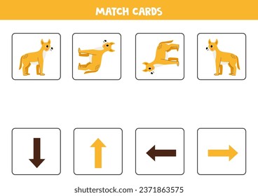 Left, right, up or down. Spatial orientation with cute dingo dog.