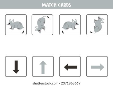 Left, right, up or down. Spatial orientation with cute gray bandicoot.