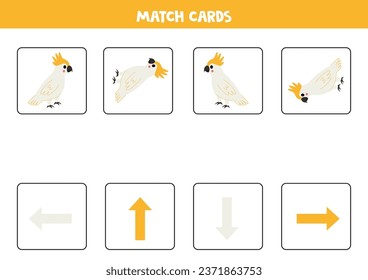 Left, right, up or down. Spatial orientation with cute cockatoo.