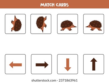 Left, right, up or down. Spatial orientation with cute brown echidna.