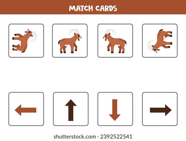 Left, right, up or down. Spatial orientation with cute brown ibex.