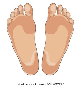 Left and right foot soles illustration for footwear, shoe concepts, medical, health, massage, spa, acupuncture centers etc. Realistic cartoon style, colored with skin tones. Vector isolated on white.