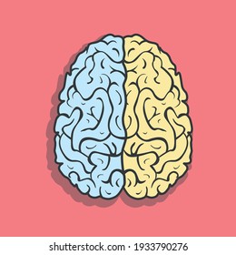 Left and right hemisphere of the human brain. Vector illustration