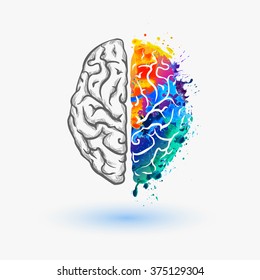 Left and right hemisphere of human brain - Shutterstock ID 375129304
