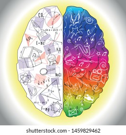 left and right hemispheres of the brain