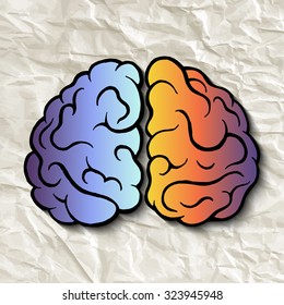 The left and right hemispheres of the brain. Hand drawn.