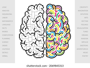 Hemisferios izquierdo y derecho del cerebro humano. Ilustración vectorial.