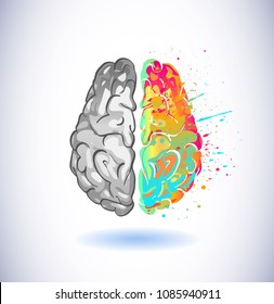 Left right human brain concept. Creative and logic part for social and business infographics. Vector design element of educational and creative theme. Can be used for your promotional products