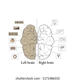Left and right human brain concept. Vector design element of educational and creative theme.