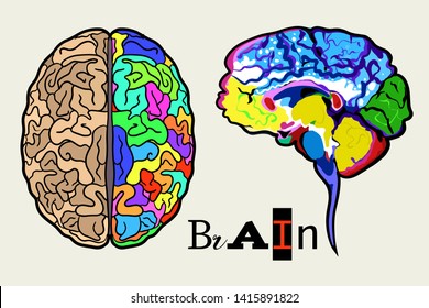 Left right human brain concept. Creative part and logic part 