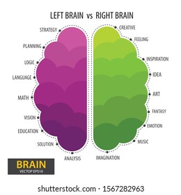 Left Right Human Brain Concept Infographics Stock Vector (Royalty Free ...