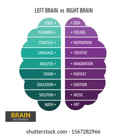 Left Right Human Brain Concept Infographics Stock Vector (Royalty Free ...