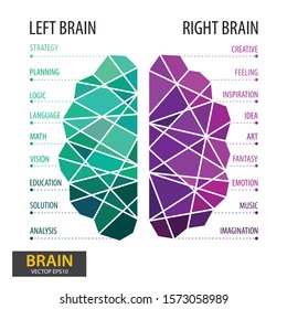 Left and right human brain concept. Infographics brain design. Polygonal art style. Modern geometric graphic. Triangle vector illustration.