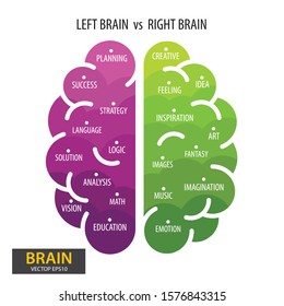Left and right human brain concept. Infographics brain design. vector illustration.