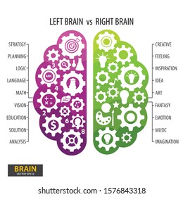 Diagram Showing Details Plant Cell Illustration Stock Vector (Royalty ...