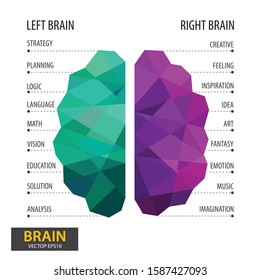 Left and right human brain concept. Infographics brain design. Polygonal art style. Modern geometric graphic. Triangle vector illustration.