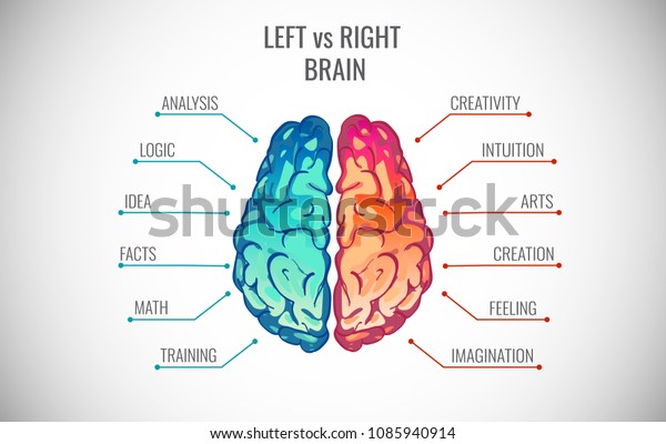 Left
and right human brain concept. Creative part and logic part with
social and business infographics vector
illustration
