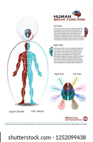 Left and right human brain  function infographic​