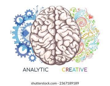 Left and right human brain functions concept. Analytical and creativity parts of brain drawing, intellectual and creative abilities anatomy medicine research design element