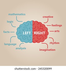 Left & right human brain illustration