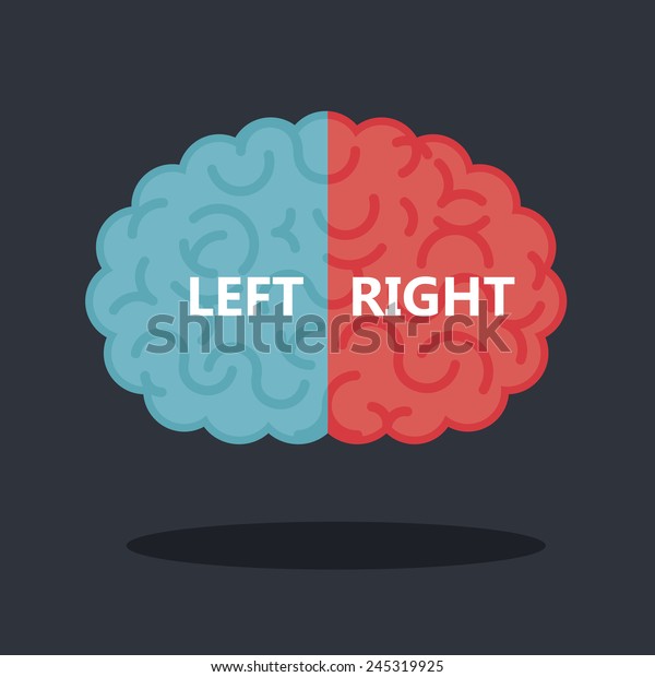 Left & right\
human brain illustration