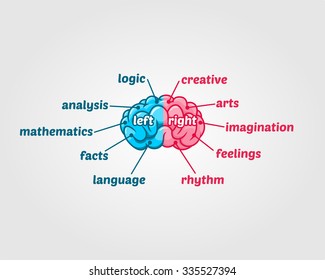 Left and Right Human Brain Vector Illustration