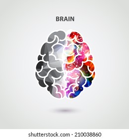 Left and right part of brain