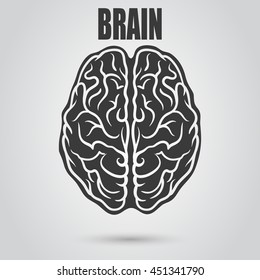 Left and right part of brain