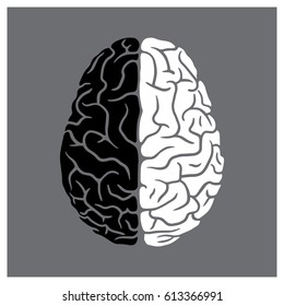 Left and right sides of the human brain illustration