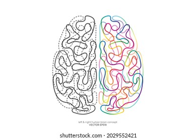 Concepto de cerebro humano a la derecha izquierda. Dibujo vectorial doodle colorido de línea clara aislado en fondo blanco.
