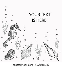 Left side frame with underwater seahorse, shells and seaweed hand drawn doodle outline. Square template for social media with copy space. Stock vector illustration isolated on transparent background.