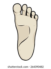 left sole / cartoon vector and illustration, hand drawn style, isolated on white background.