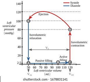 Left ventricular Pressure-volume diagram. It is a useful diagnostic graphical tool as they allow the measurement of various physiological parameters associated with the cardiac dynamics, such as the v