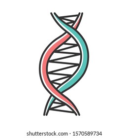 Left-handed DNA helix color icon. Z-DNA. Deoxyribonucleic, nucleic acid structure. Spiral strands. Chromosome. Molecular biology. Genetic code. Genome. Genetics. Isolated vector illustration