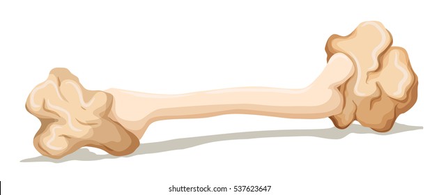 Leftover bone on the floor illustration