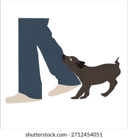 Pierna mordida por un perro