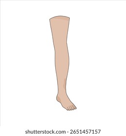 Vetor de ilustração de ícone de parte do corpo da perna