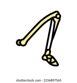 leg bone color icon vector. leg bone sign. isolated symbol illustration