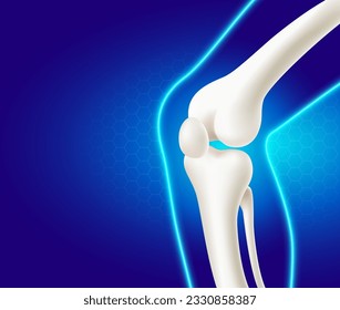 Leg bone   knee joint  side view medical use  advertising material blue background  Realistic vector file illustration 